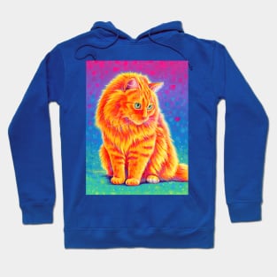 Rainbow Orange Longhaired Tabby Cat Hoodie